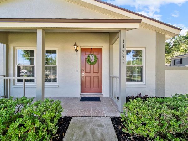 11799 RAINTREE DRIVE, TEMPLE TERRACE, FL 33617