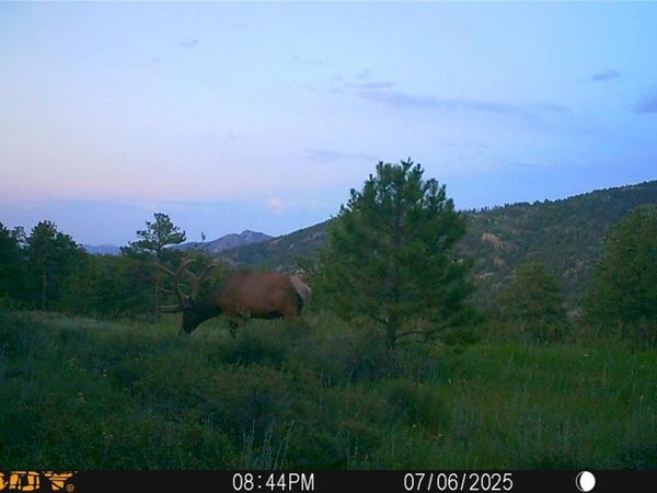 591599 Soul Shine Road, Drake, CO 80515