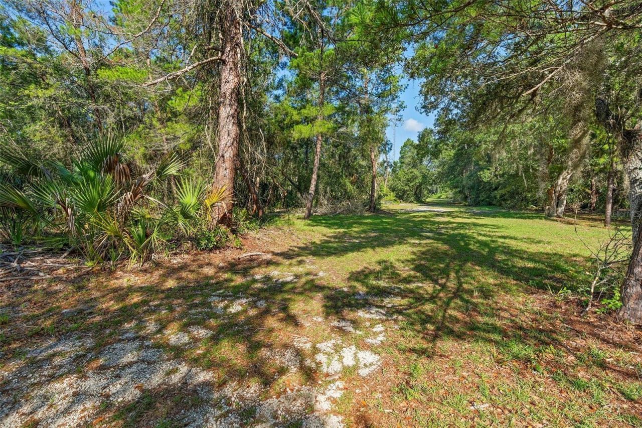 1835 S Glencoe Road, New Smyrna Beach, FL 32168 Photo