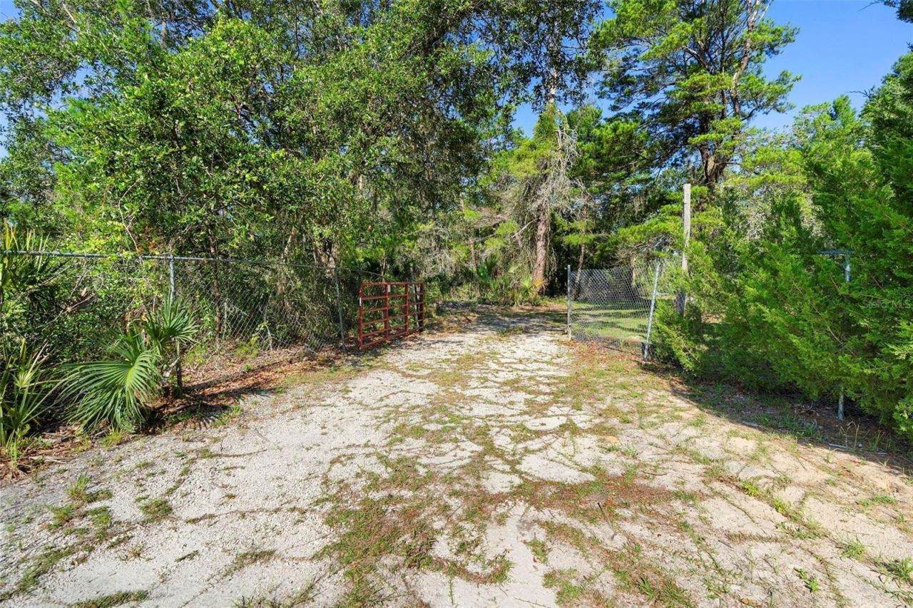 1835 S Glencoe Road, New Smyrna Beach, FL 32168 Photo
