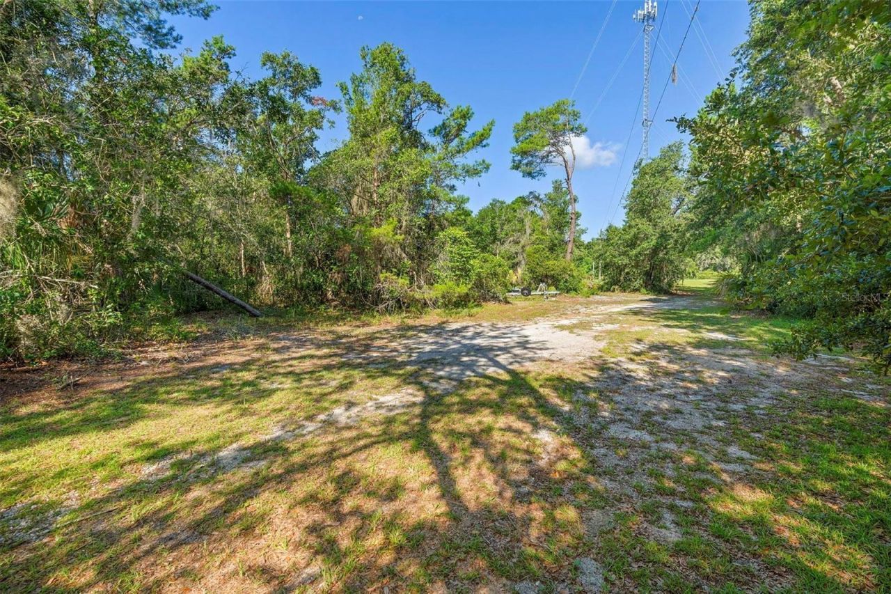 1835 S Glencoe Road, New Smyrna Beach, FL 32168 Photo