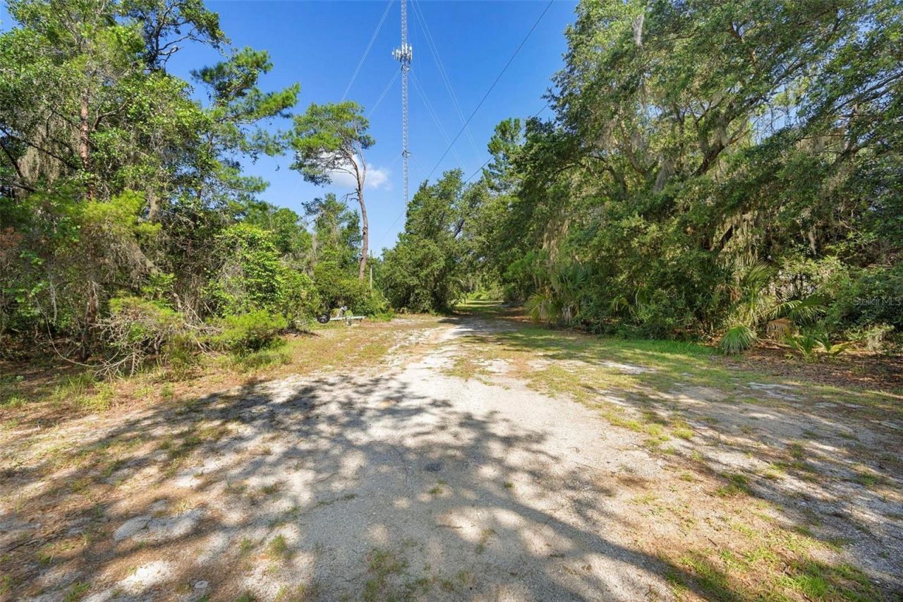 1835 S Glencoe Road, New Smyrna Beach, FL 32168 Photo
