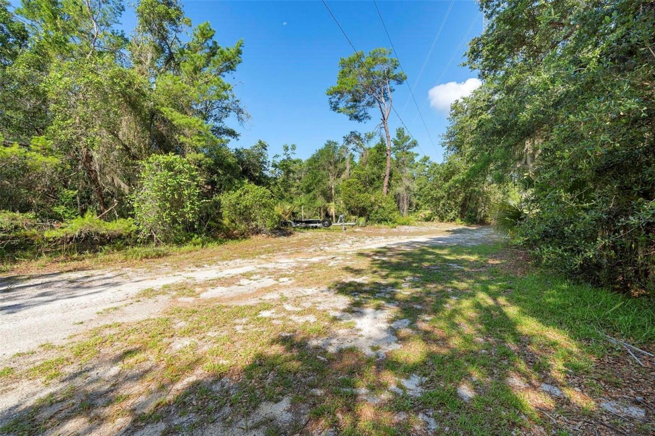 1835 S Glencoe Road, New Smyrna Beach, FL 32168 Photo