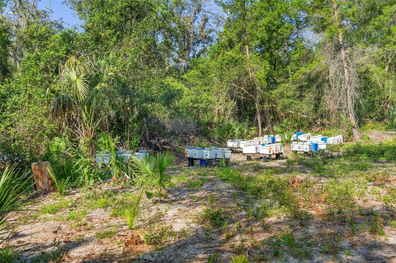1835 S Glencoe Road, New Smyrna Beach, FL 32168 Photo