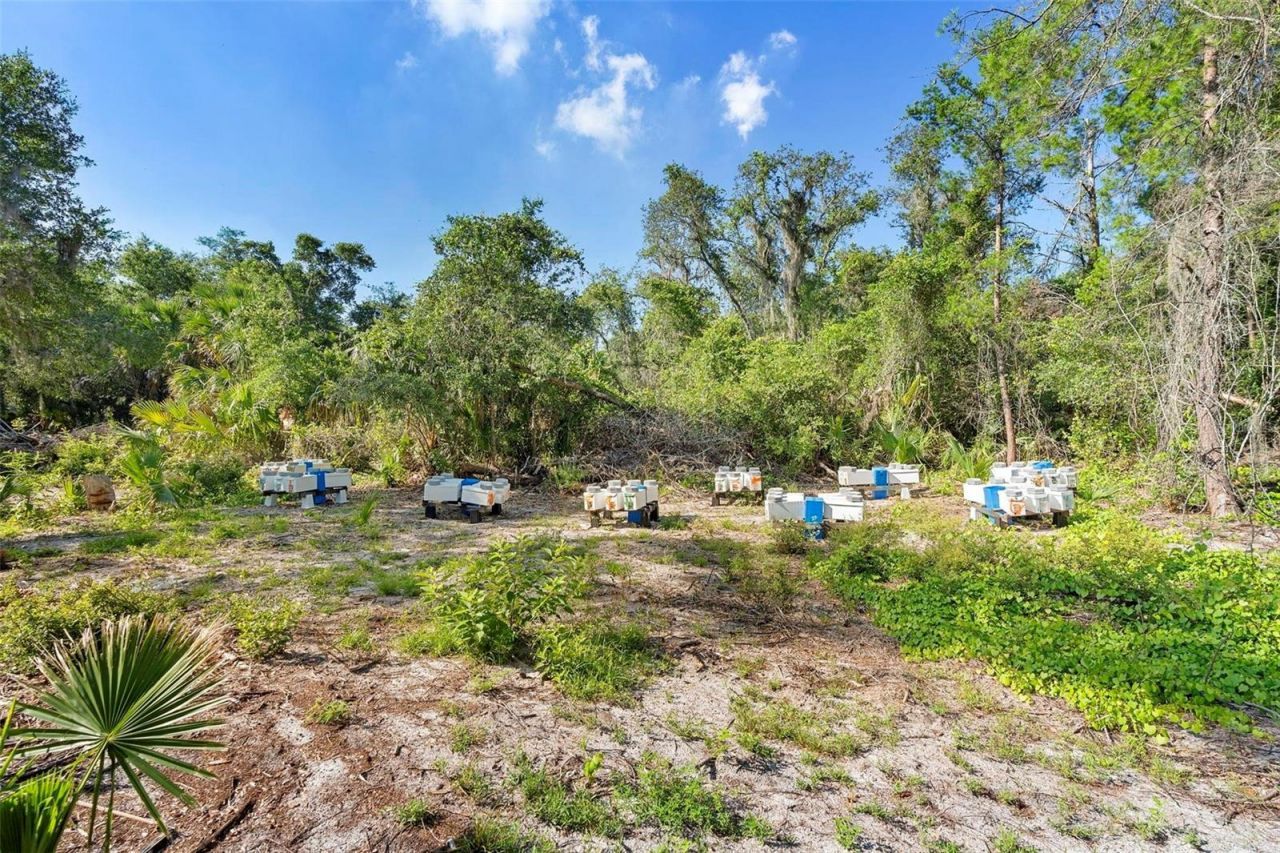1835 S Glencoe Road, New Smyrna Beach, FL 32168 Photo