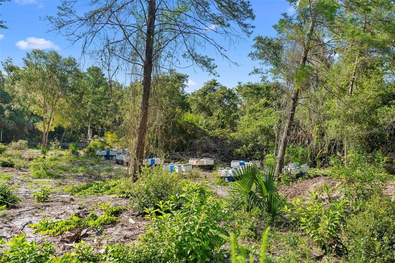 1835 S Glencoe Road, New Smyrna Beach, FL 32168 Photo