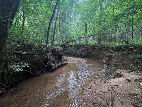 0 Clearwater Parkway, Rutherfordton, NC 28139