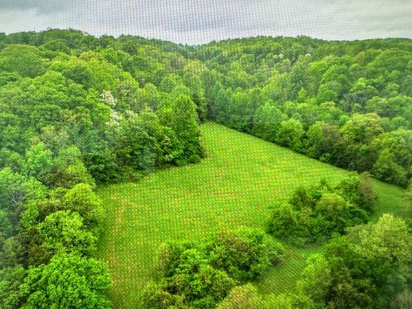 0 Collier Rd, Unit 16, Lewisburg, TN 37091