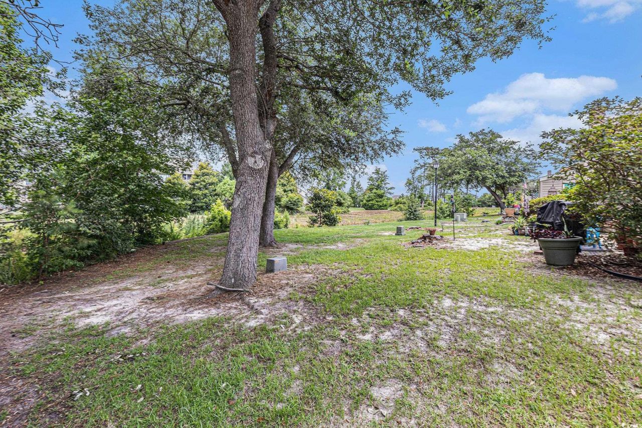 951 Plantation Dr. Photo 33