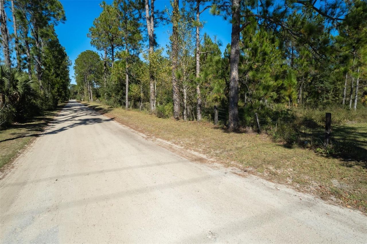 108 Willis Road, Interlachen, FL 32148 Photo