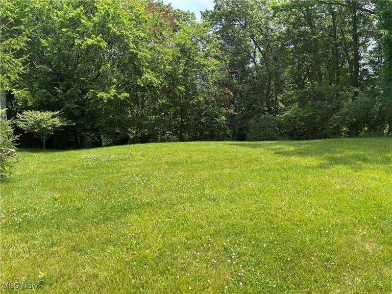 VL Laura Lee Lane, Seven Hills, OH 44131 Photo 2