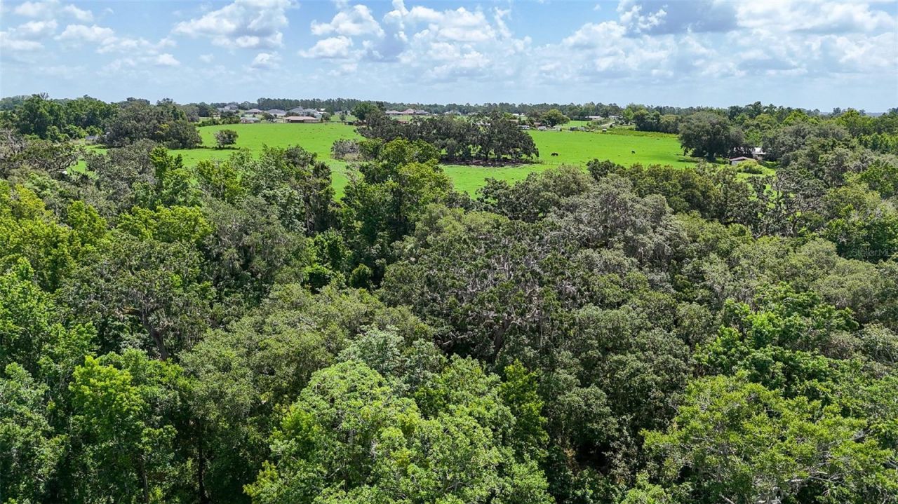 14409 Curley Road, Dade City, FL 33525 Photo