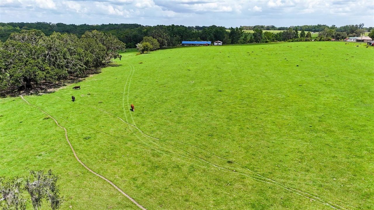 14409 Curley Road, Dade City, FL 33525 Photo