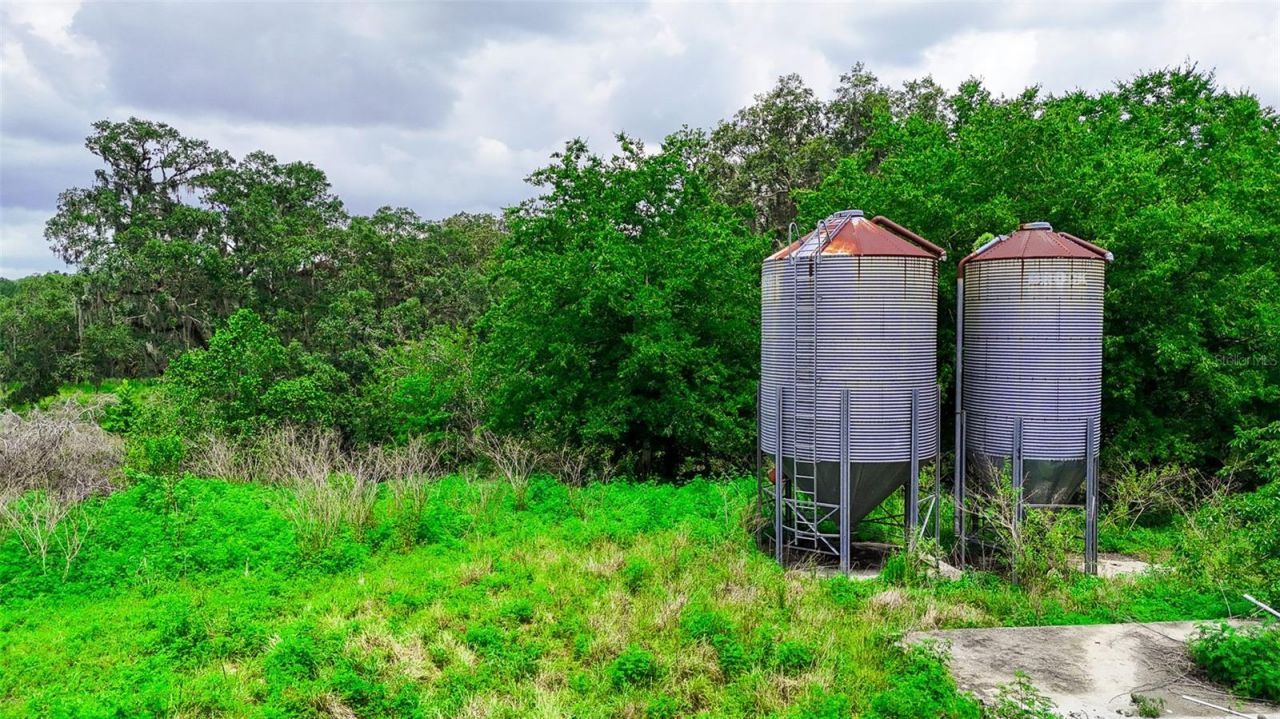 14409 Curley Road, Dade City, FL 33525 Photo