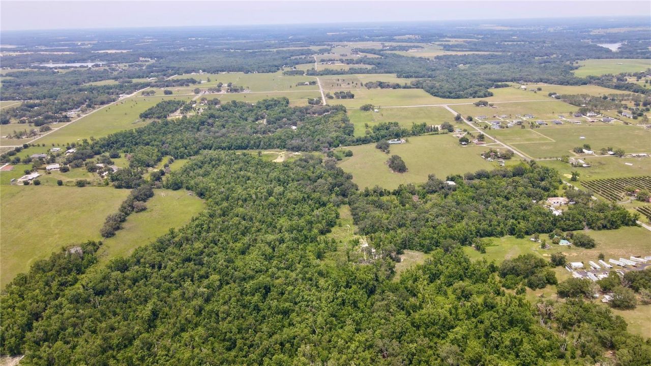 14409 Curley Road, Dade City, FL 33525 Photo