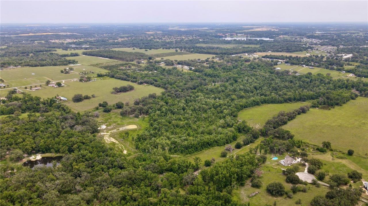 14409 Curley Road, Dade City, FL 33525 Photo