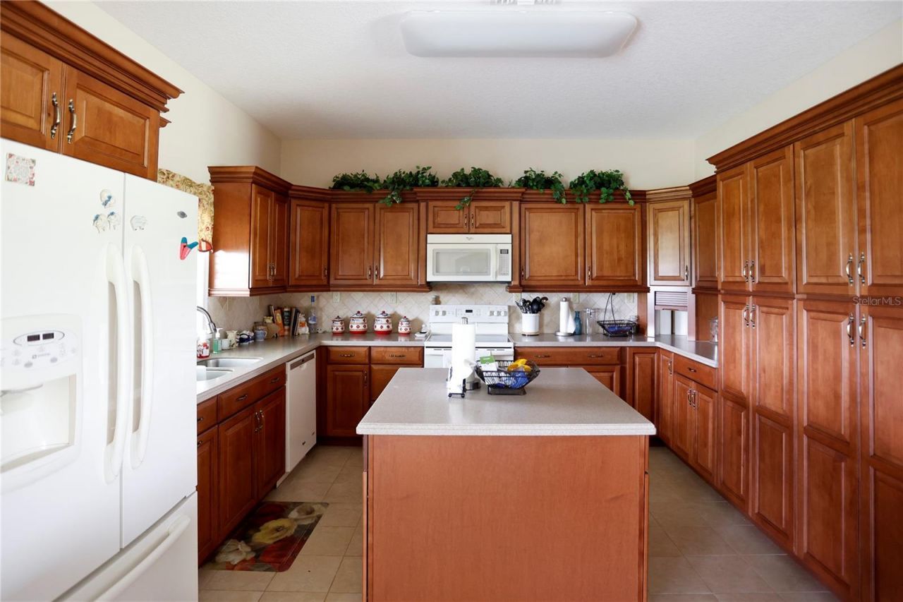 14435 Curley Road, Dade City, FL 33525 Photo