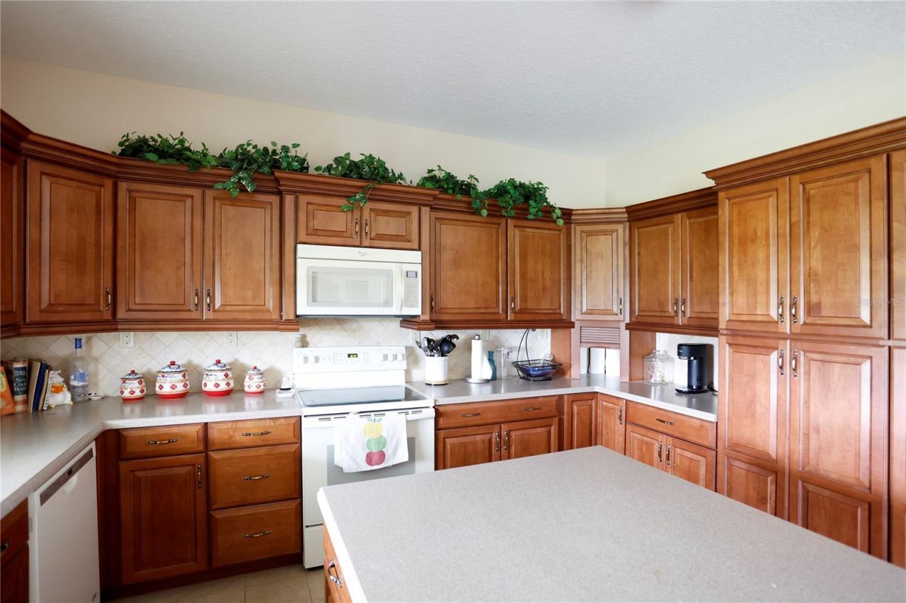 14435 Curley Road, Dade City, FL 33525 Photo