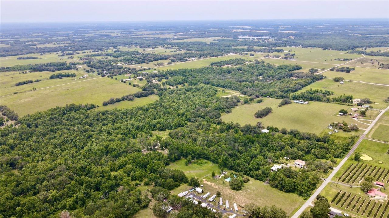 14435 Curley Road, Dade City, FL 33525 Photo