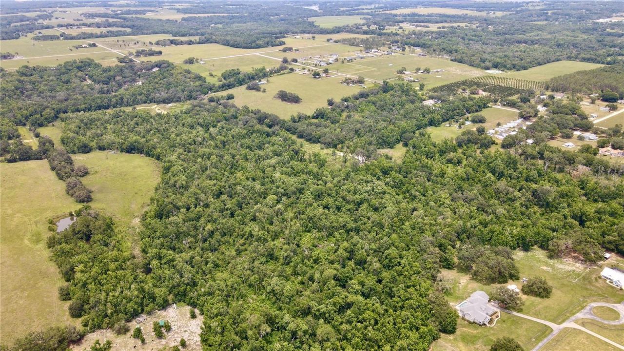 14435 Curley Road, Dade City, FL 33525 Photo