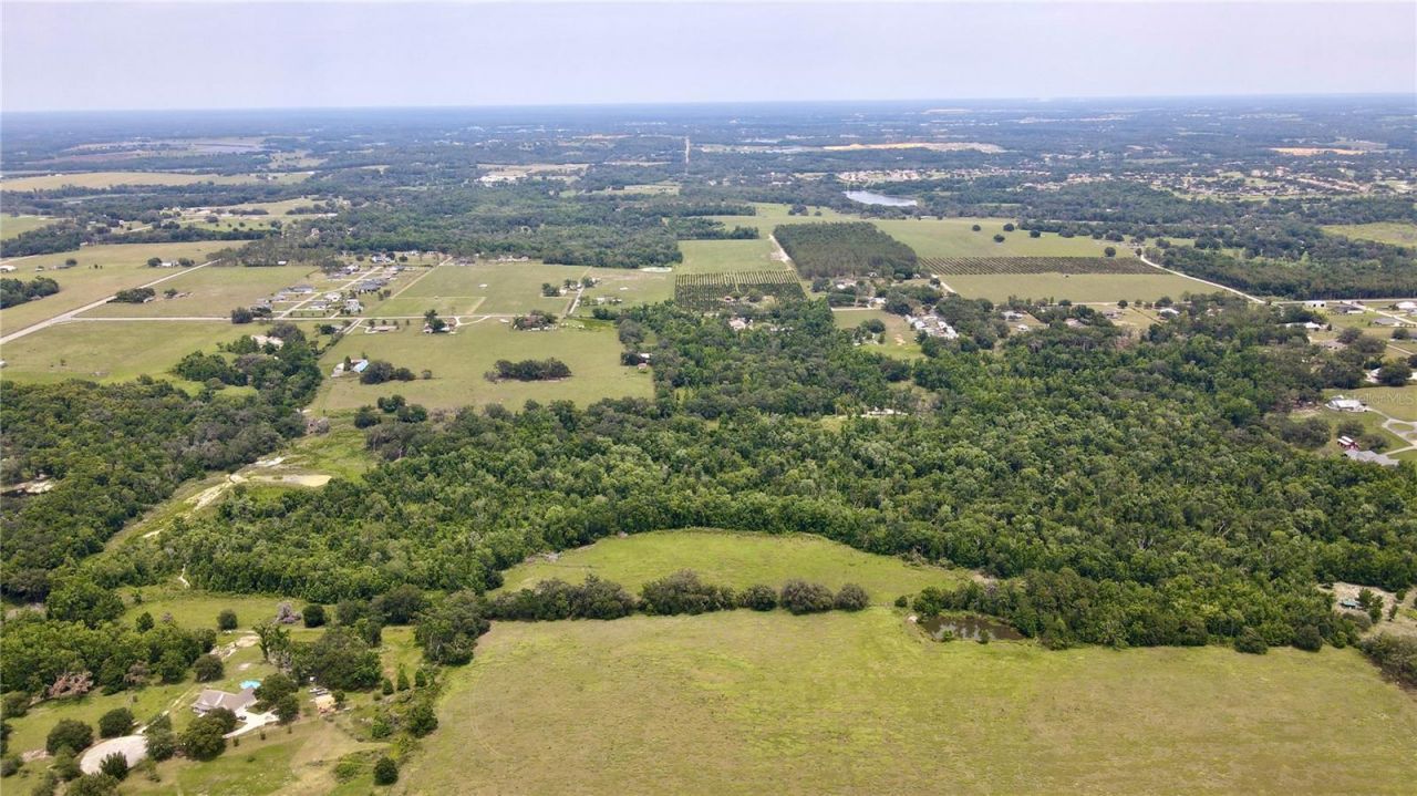 14435 Curley Road, Dade City, FL 33525 Photo