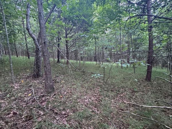 0 Cross Creek Drive, Rutherfordton, NC 00000