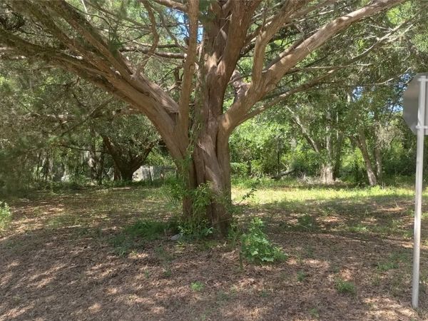 Lot 1 & 2 SOMERUELUS Street, Fernandina Beach, FL 32034