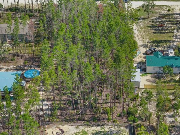 NE Oak Pond Ln, Steinhatchee, FL 32359