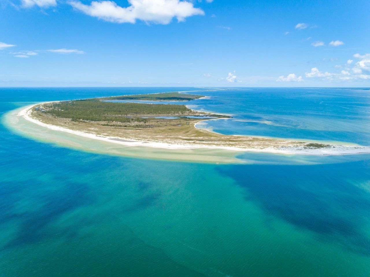 262 Gulf Shore Drive, Carrabelle, FL 32322 Photo