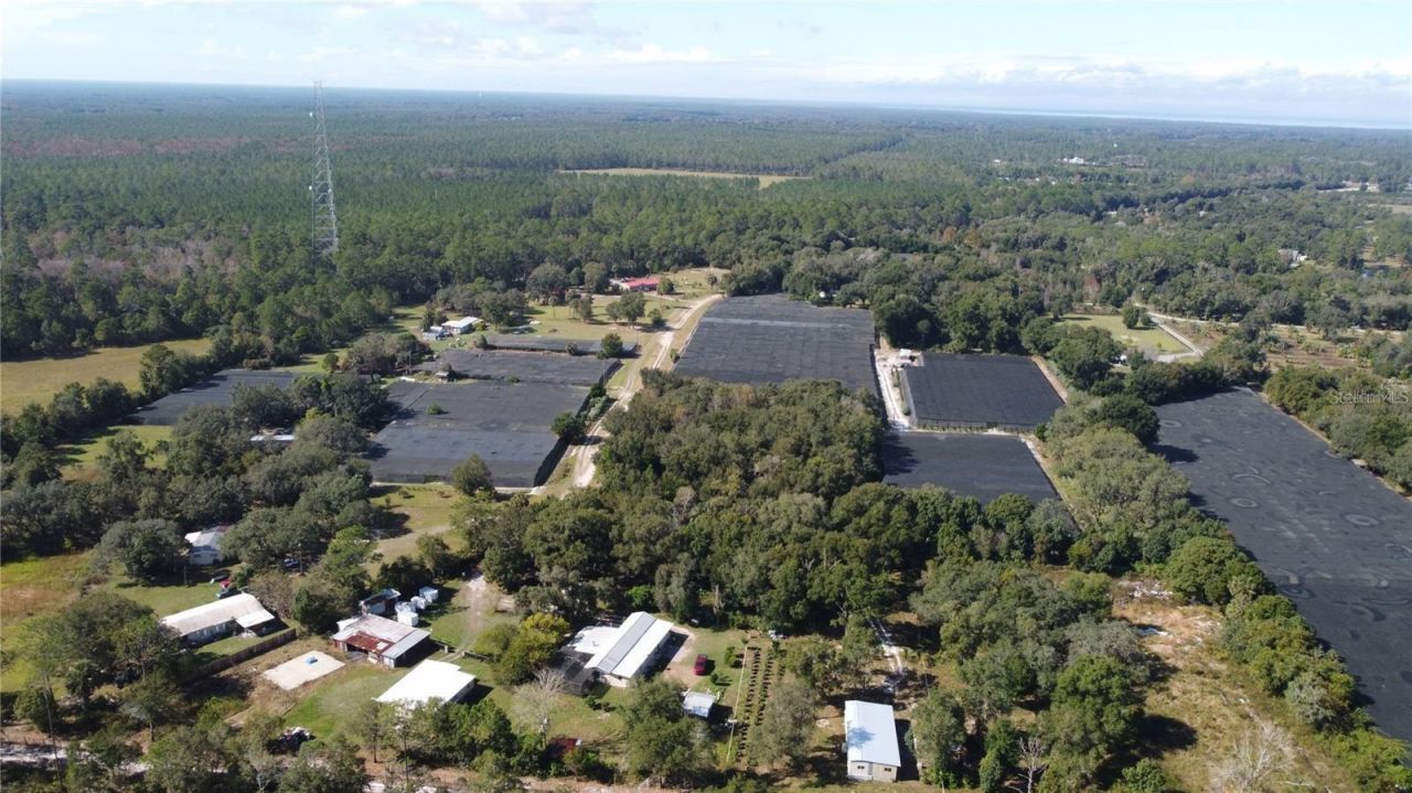 190 Dickie Lane, Pierson, FL 32180 Photo