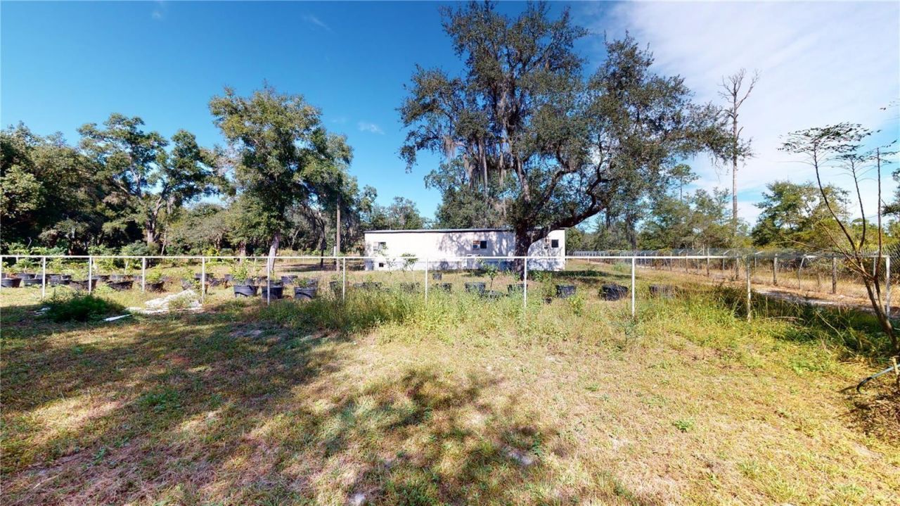 190 Dickie Lane, Pierson, FL 32180 Photo