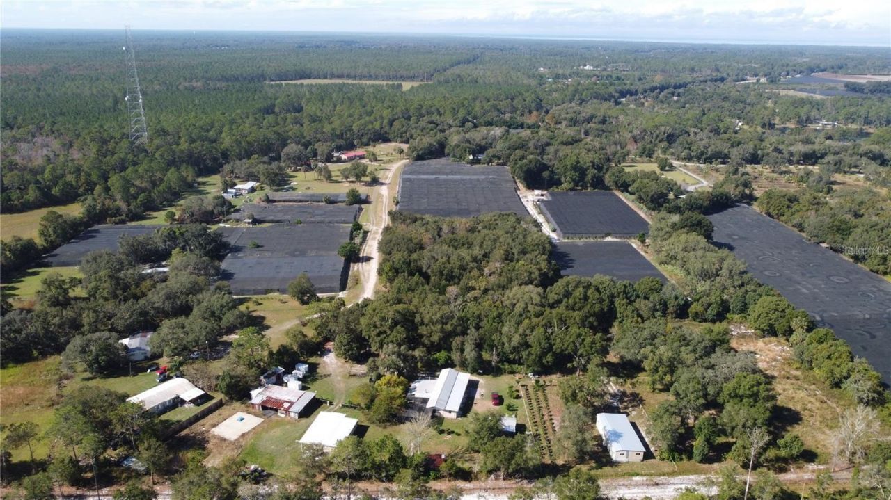 190 Dickie Lane, Pierson, FL 32180 Photo