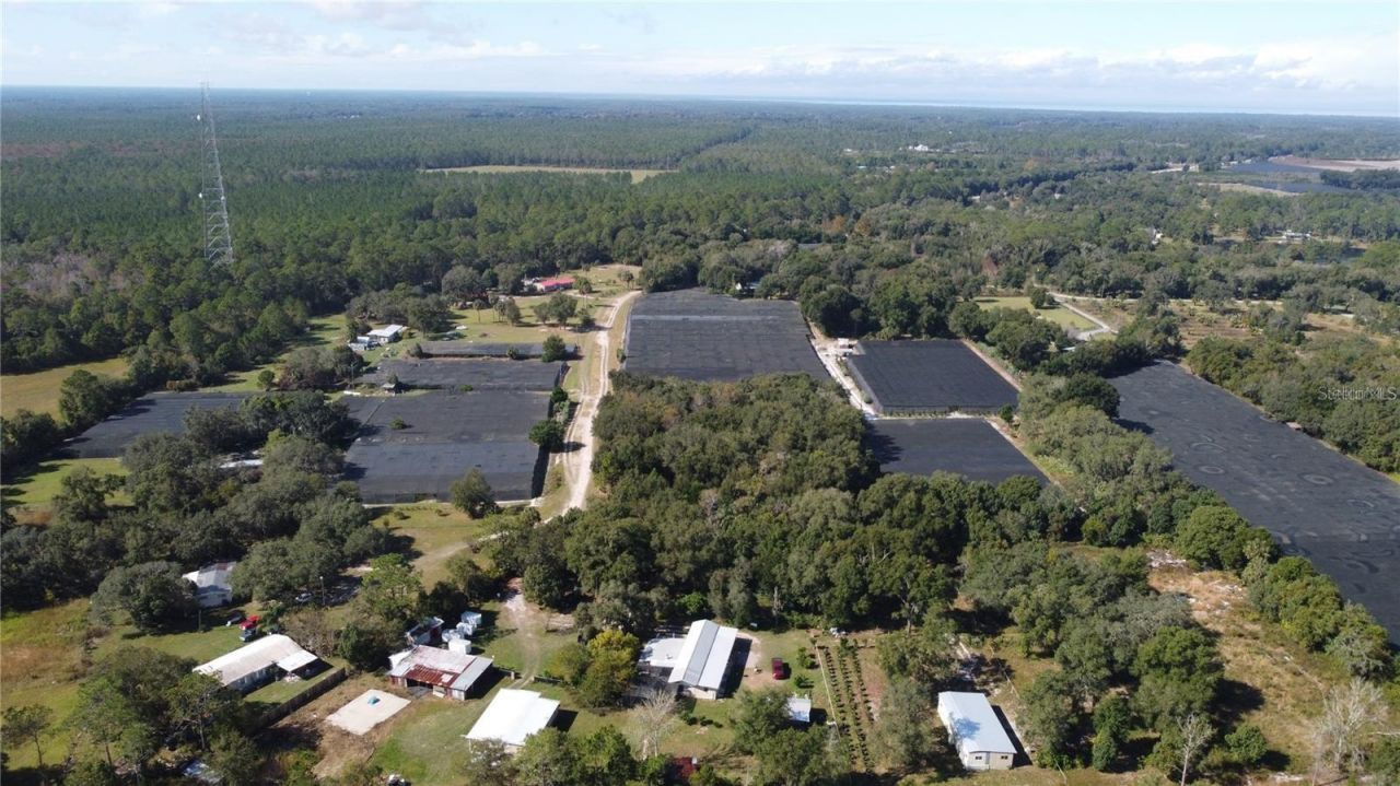 190 Dickie Lane, Pierson, FL 32180 Photo
