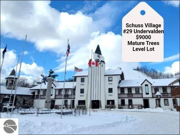 29 Undervalden Drive, Bellaire, MI 49615