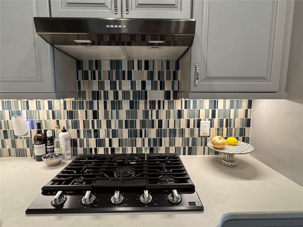 239 Okeeffe Circle, Bradenton, FL 34212 Photo