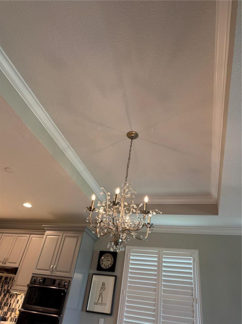 239 Okeeffe Circle, Bradenton, FL 34212 Photo