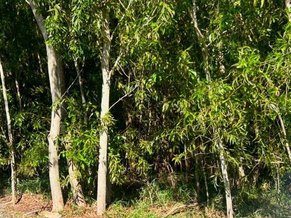 4941 NW FOXWORTH AVENUE, PORT ST LUCIE, FL 34983