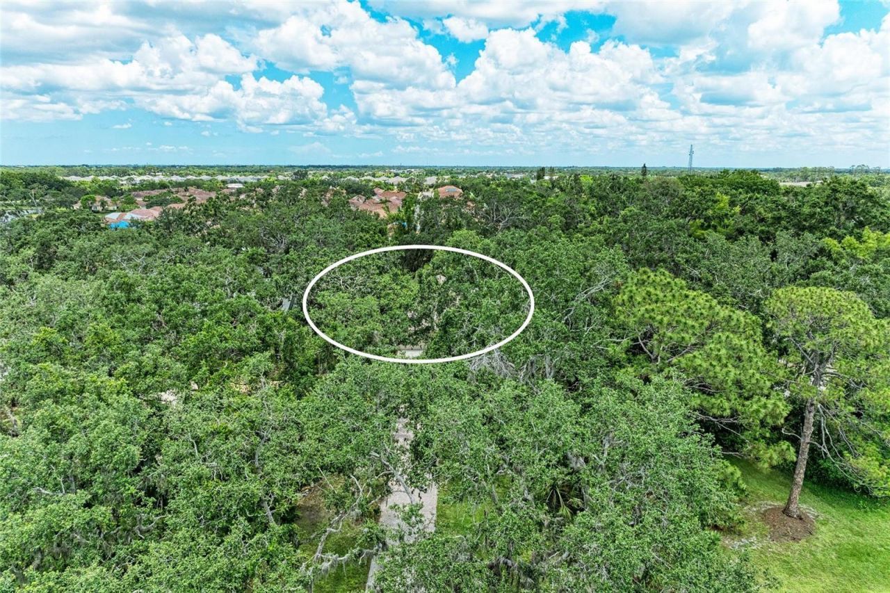 3217 Oak Grove Drive, Sarasota, FL 34243 Photo