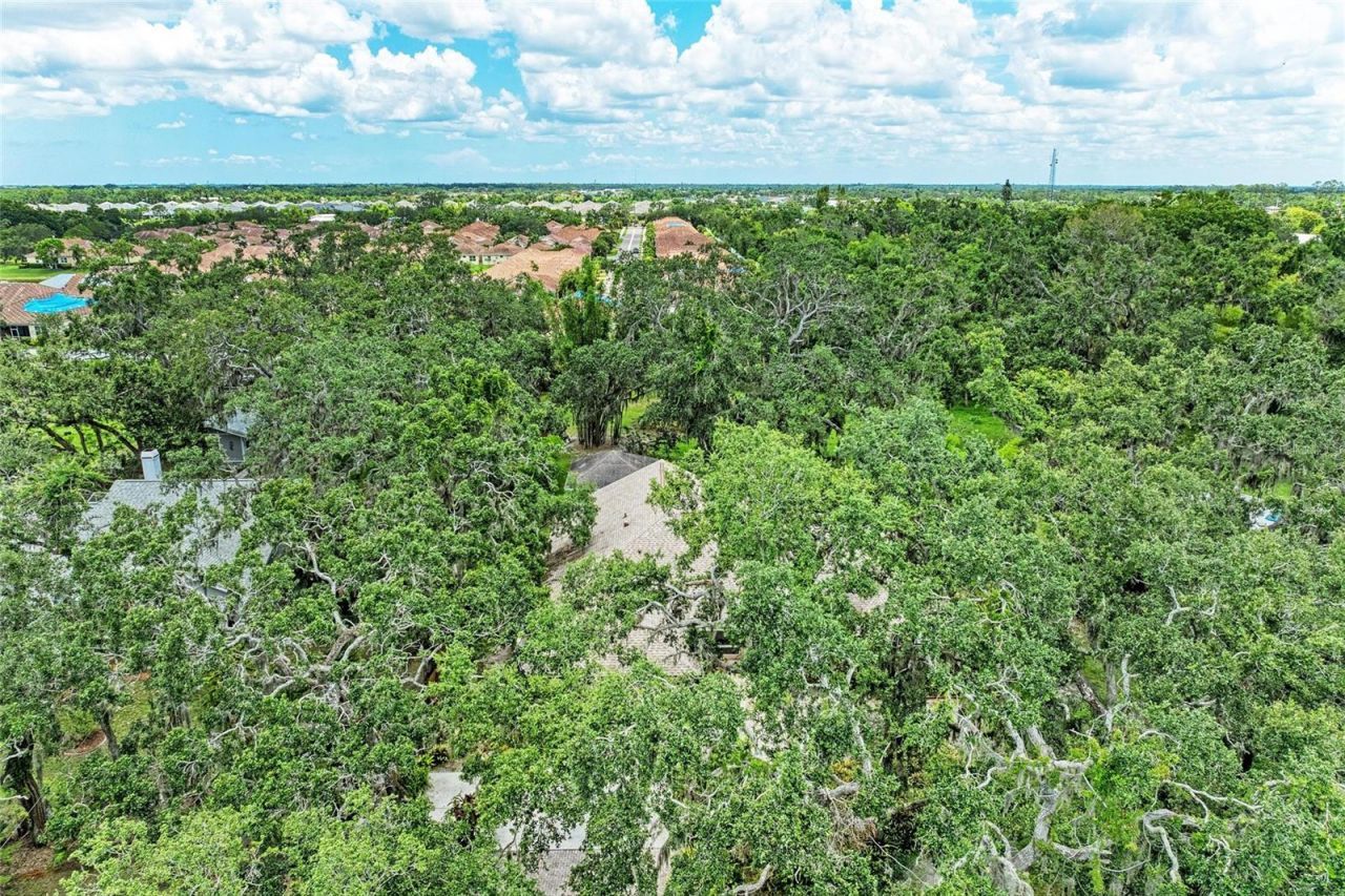 3217 Oak Grove Drive, Sarasota, FL 34243 Photo