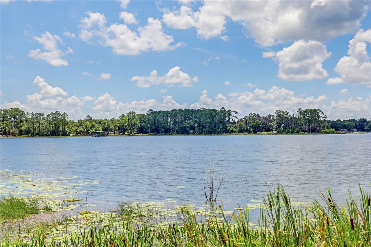 104 Carter Whittaker Lane, Pomona Park, FL 32181 Photo