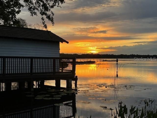 9233 Silver Lake Drive, Leesburg, FL 34788 Photo