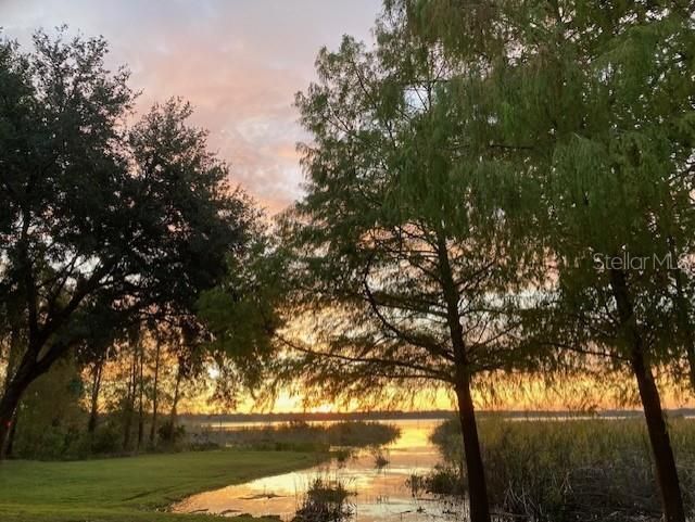 9233 Silver Lake Drive, Leesburg, FL 34788 Photo