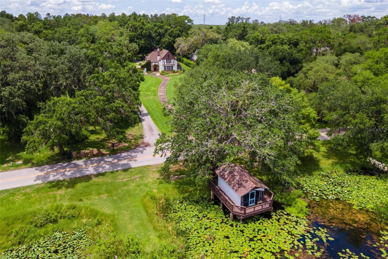 9233 Silver Lake Drive, Leesburg, FL 34788 Photo