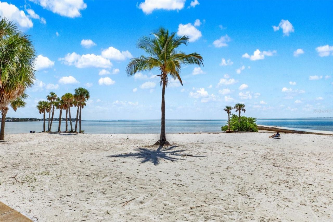 1200 N Shore Drive Ne, Unit 404, Saint Petersburg, FL 33701 Photo