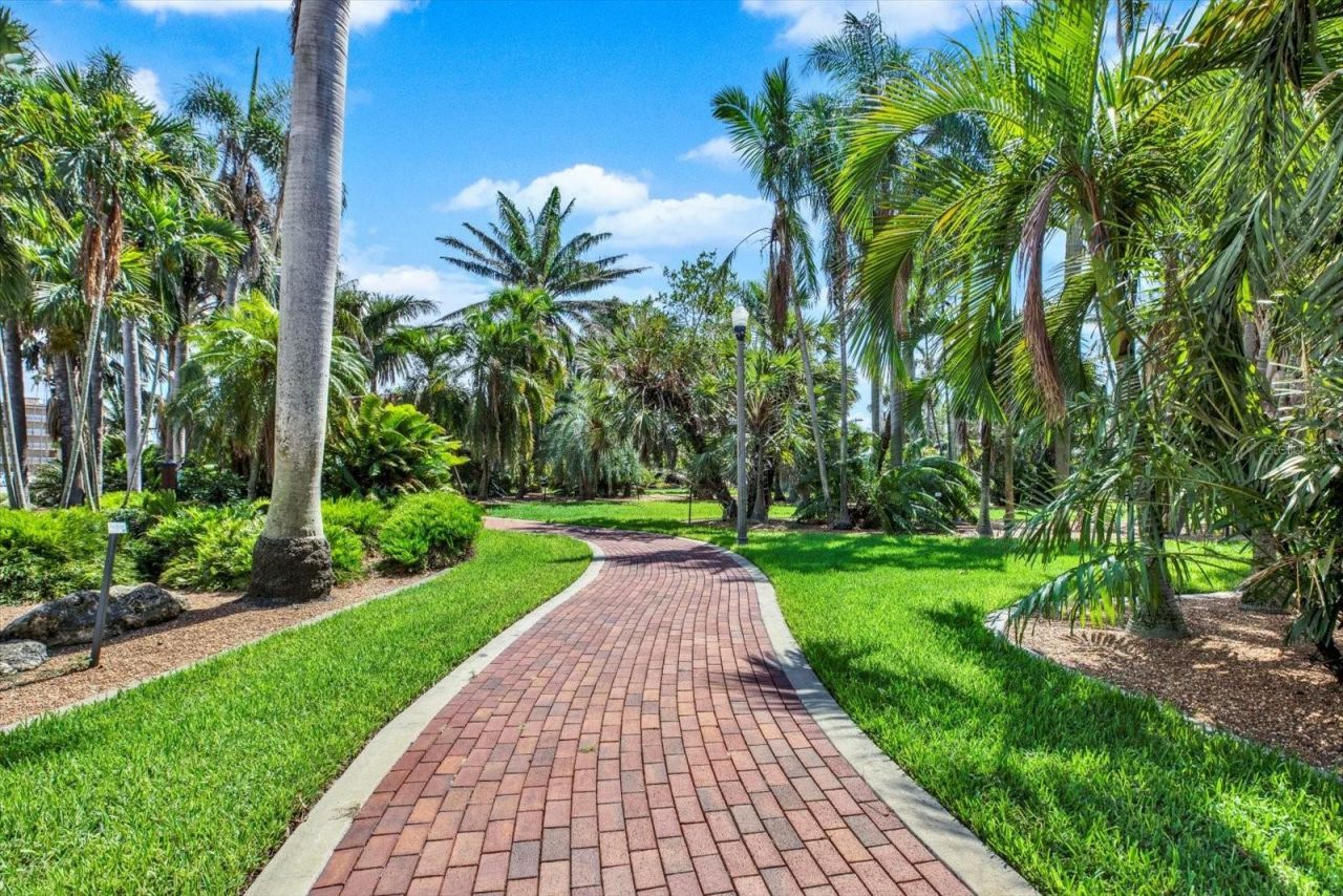 1200 N Shore Drive Ne, Unit 404, Saint Petersburg, FL 33701 Photo