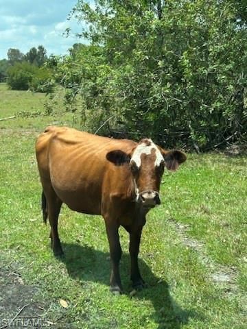 21081 Granville Rd, Fort Myers, FL 33917 Photo