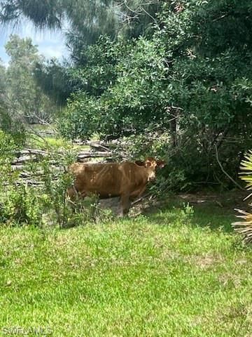 21081 Granville Rd, Fort Myers, FL 33917 Photo