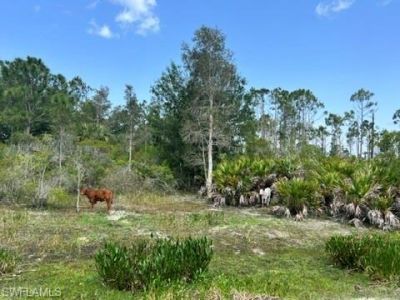 21081 Granville Rd, Fort Myers, FL 33917 Photo