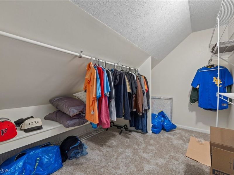 118 Brandemere Court, Elyria, OH 44035 Photo 34