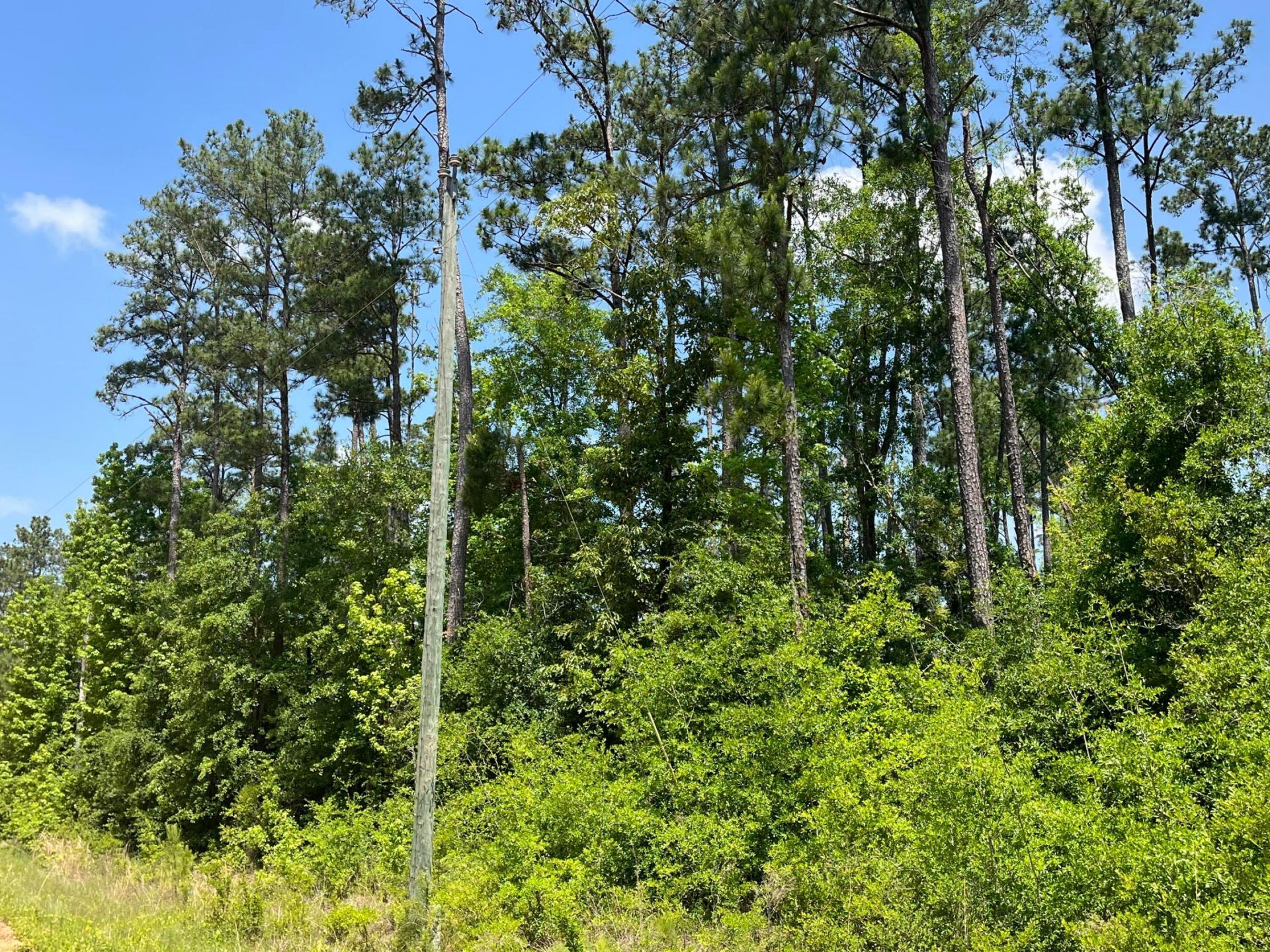 Tbd Grand Quiviera Circle, Alford, FL 32420 Photo